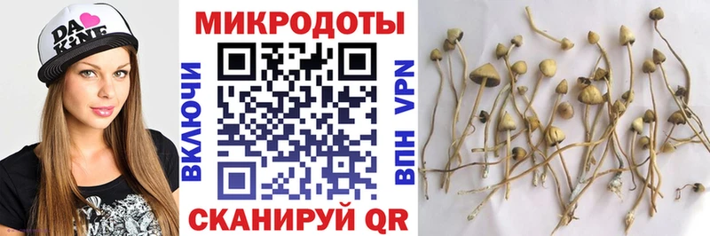 Галлюциногенные грибы Magic Shrooms блэк спрут как войти Таганрог магазин продажи наркотиков